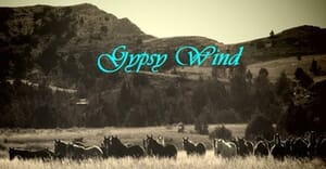 Gypsy Wind - $20 Gift Certificate